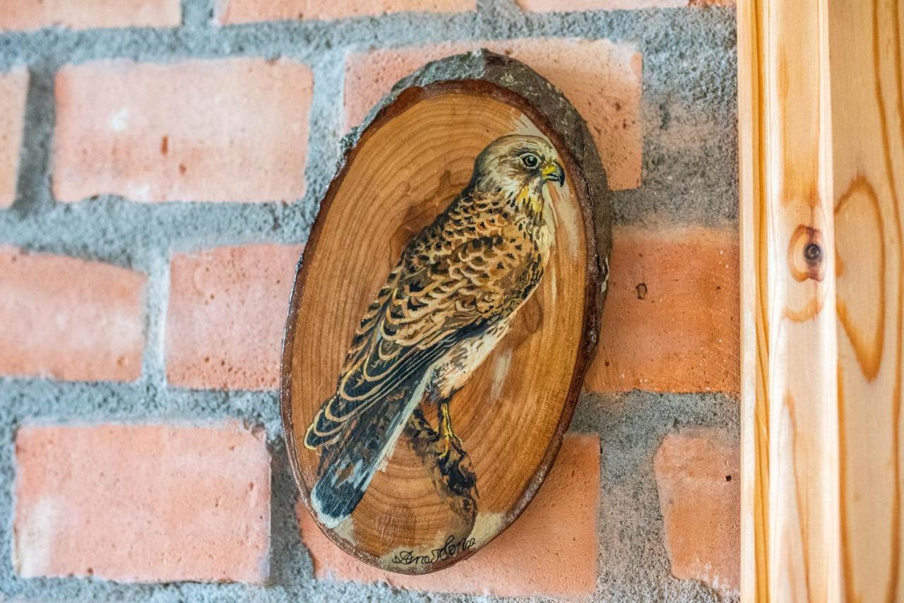 Falkenwohnung Gommern Esterno foto